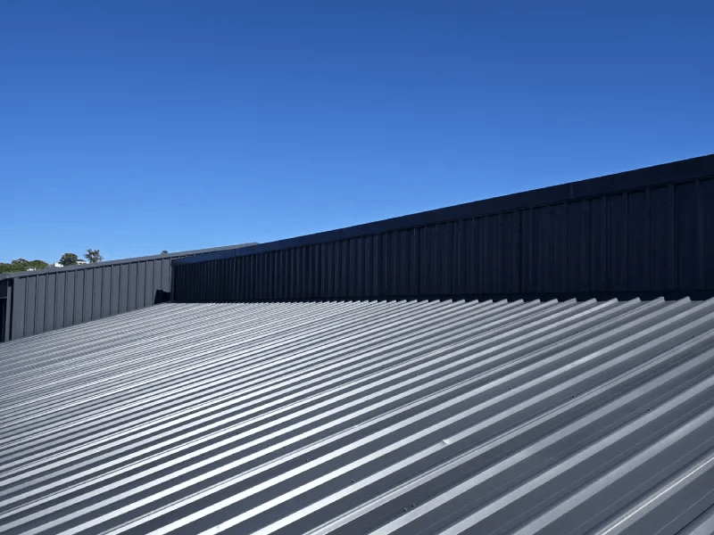 roof-painting-800×600 (1)